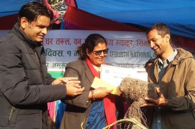 पोखरामा बृहत् कन्दमूल प्रदर्शनी